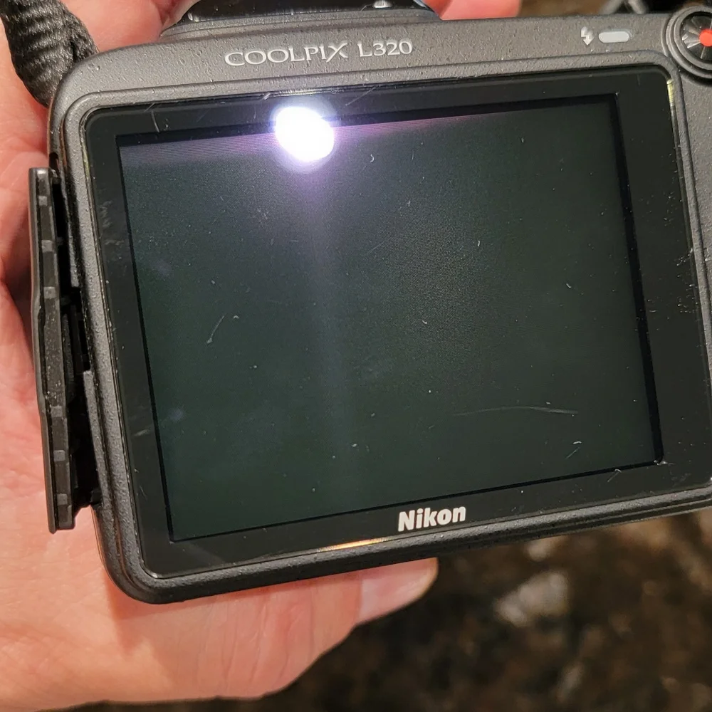 Nikon CoolPix L320 Digital Camera